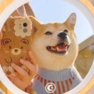 @E8J+Niw== 柠九