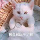 张馨月