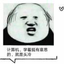头有点冷