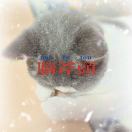 Jie@E8J+Siw==@E8J+QoA==